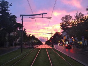 NEHUL BRÁCHO - KAPITOLA TŘINÁCTÁ: NÁVŠTĚVA