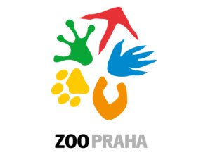 Chystá se Noc snů pro nemocné a postižené děti v ZOO Praha